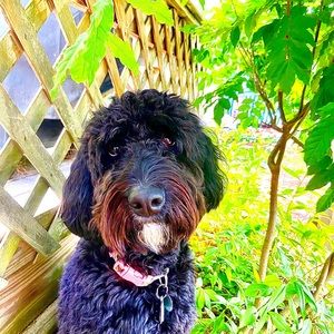 Meet your Posher, Kaden